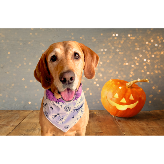 "Nightmare Before Christmas" Dog Bandana