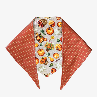 "Autumn Adventures" Reversible Dog Bandana