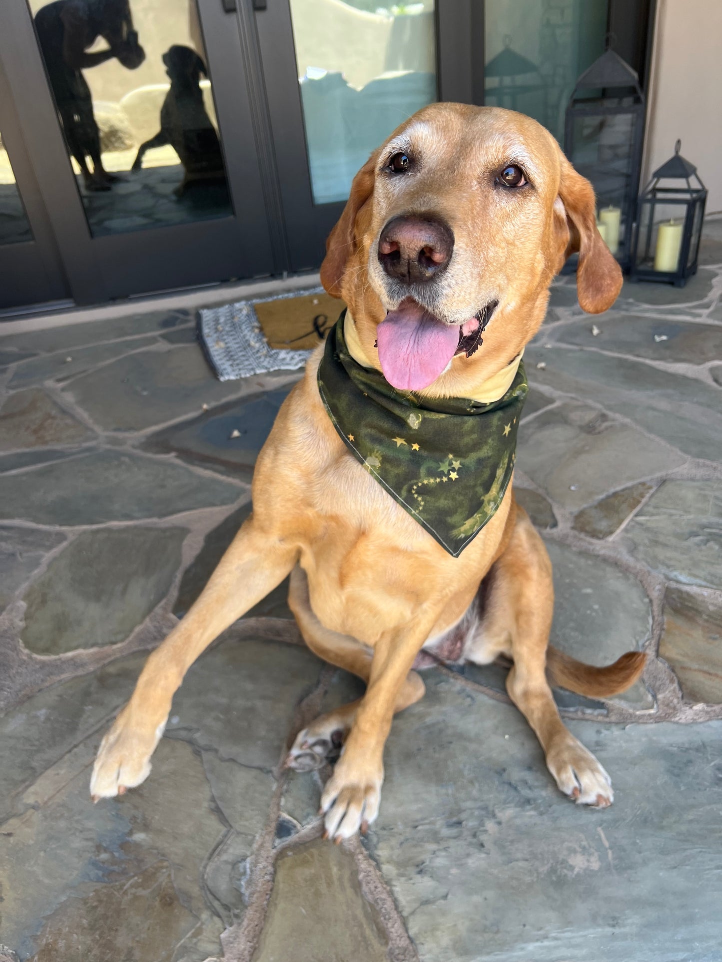 American Eagle Dog Bandana