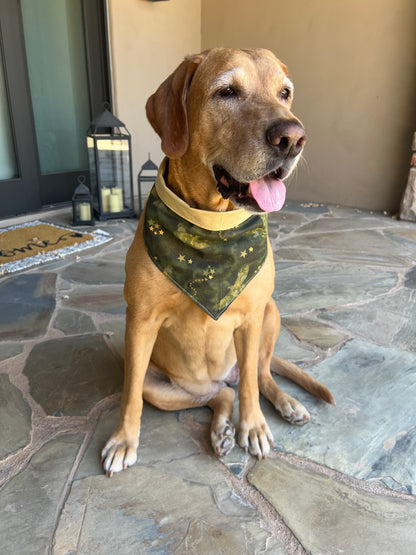 American Eagle Dog Bandana