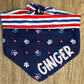 American Paws Reversible Dog Bandana