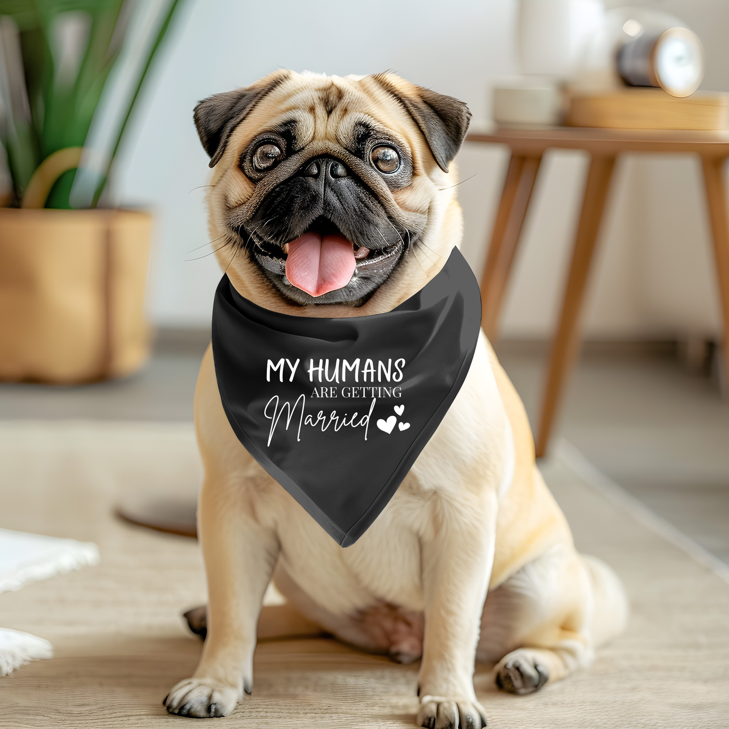 My Humans Are Getting Married