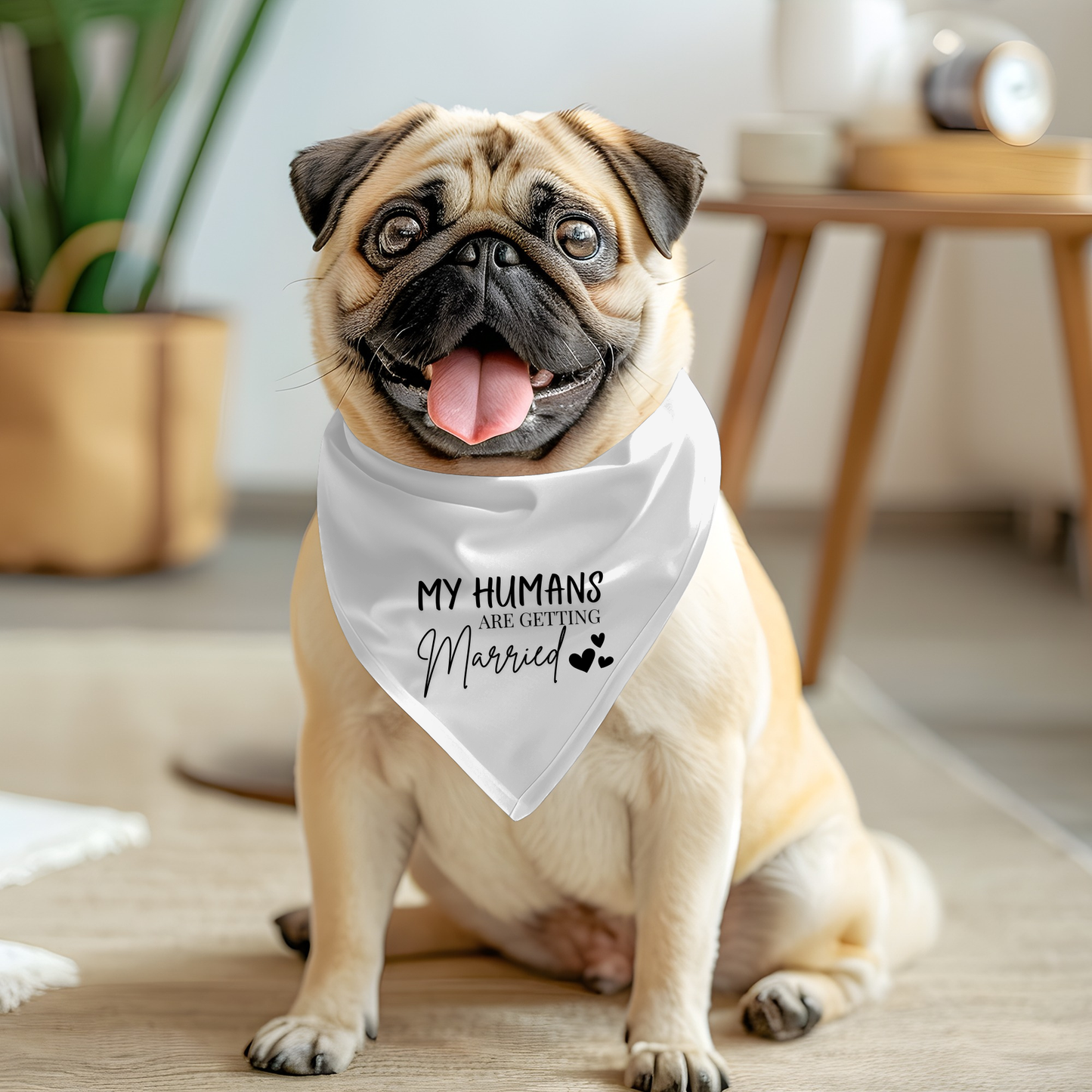 My Humans Are Getting Married