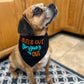 "Suns Out Tongues Out" Dog Bandana