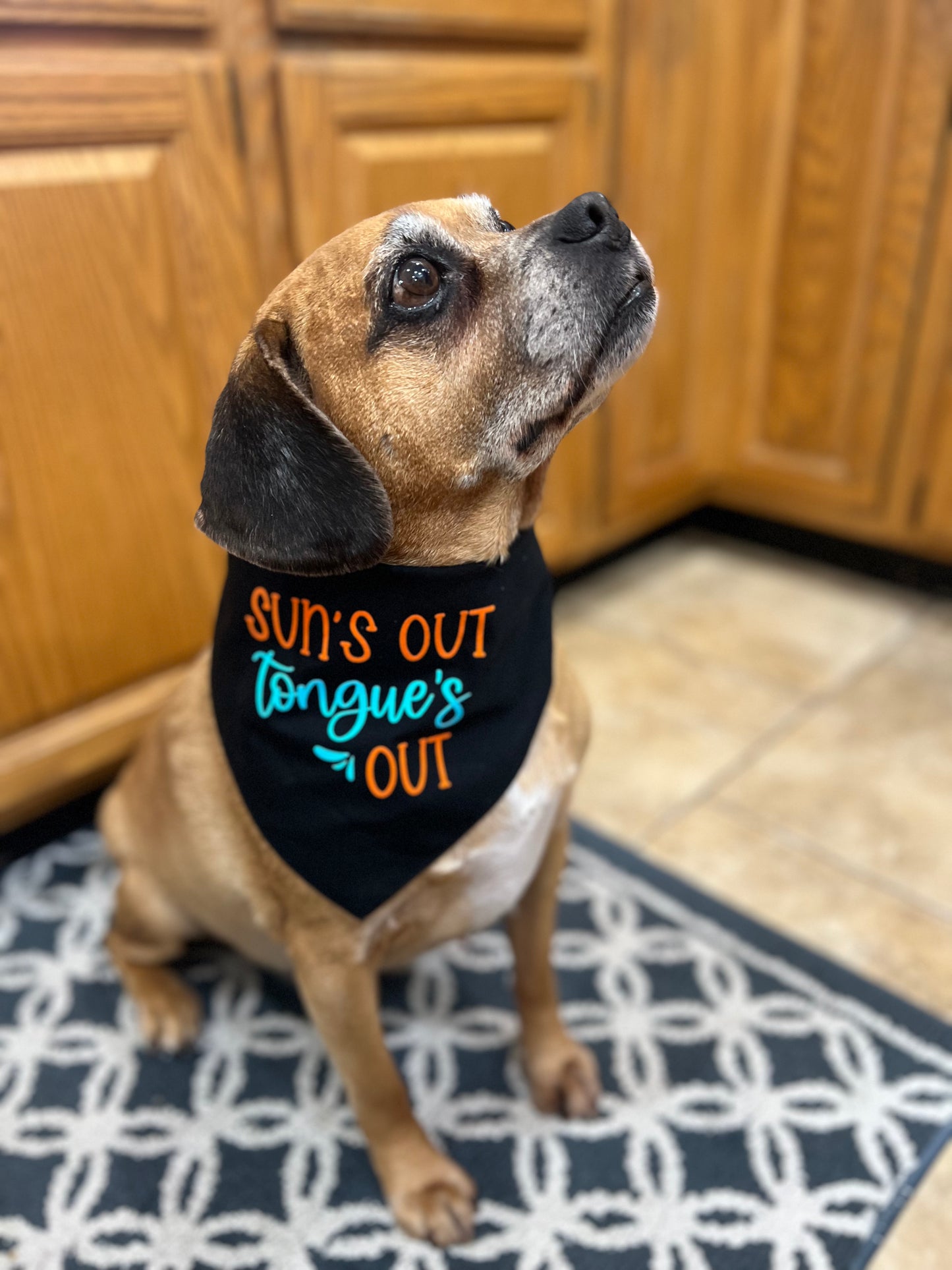 "Suns Out Tongues Out" Dog Bandana