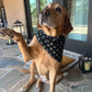 "Schitt's Creek Pup Style" Dog Bandana