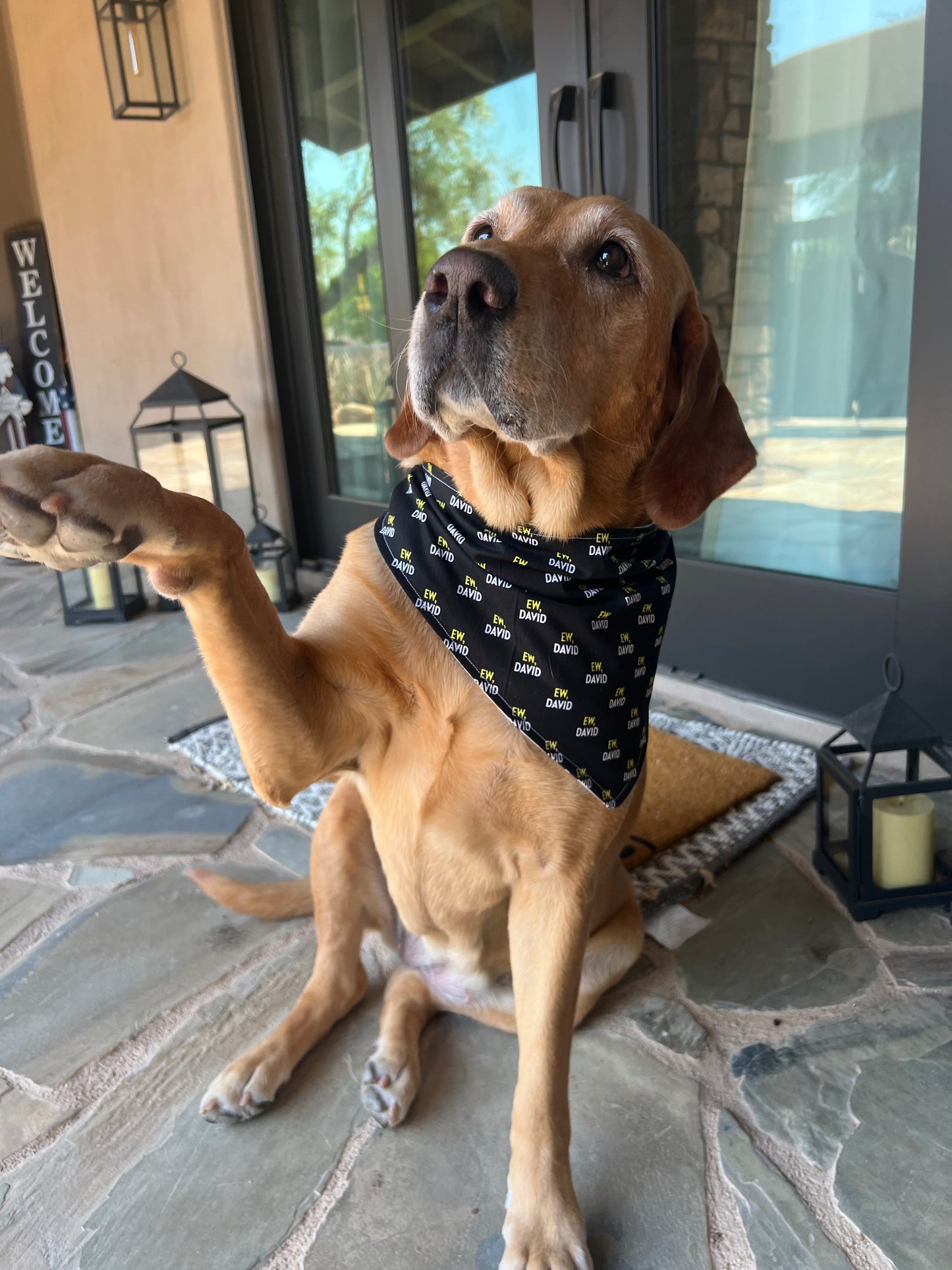 "Schitt's Creek Pup Style" Dog Bandana