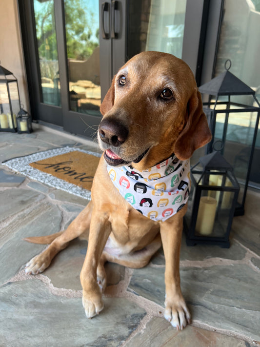 "Schitt's Creek Pup Style" Dog Bandana