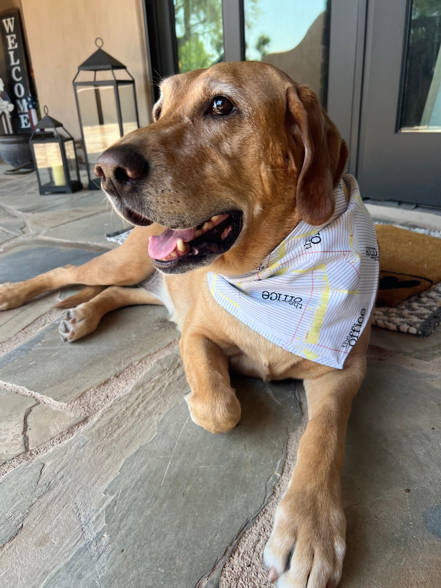 "Dunder Mifflin" Dog Bandana