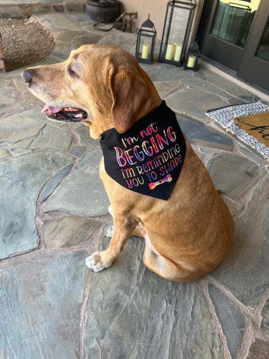 "I'm Not Begging, I'm Reminding You to Share" Dog Bandana