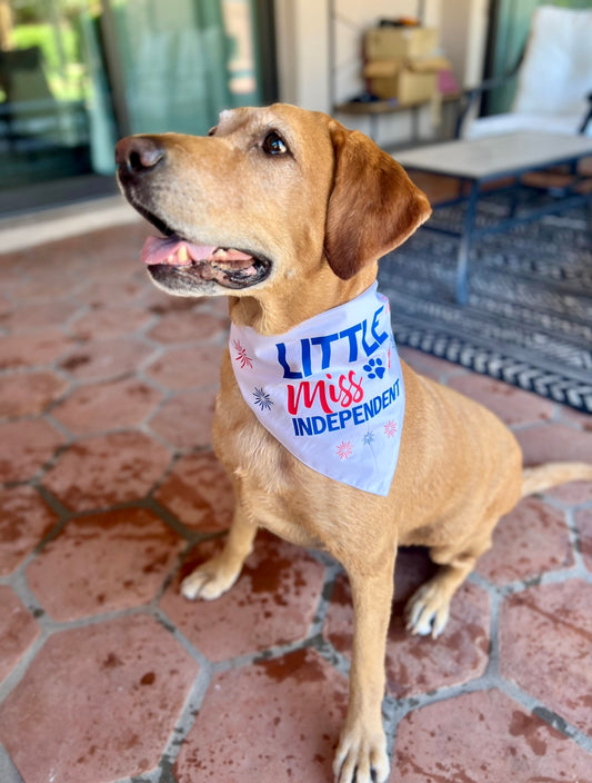 "Little Miss Independent" Dog Bandana