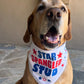 "Star Spangled Stud" Dog Bandana