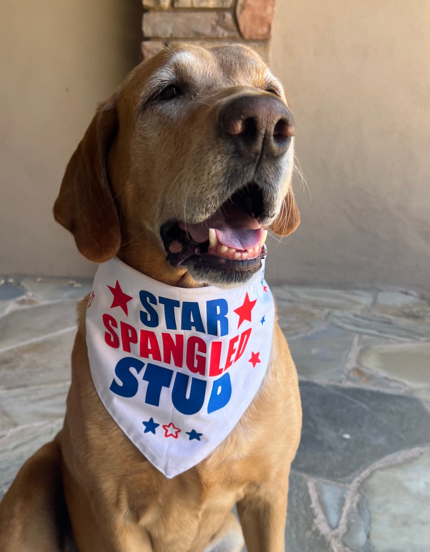 "Star Spangled Stud" Dog Bandana