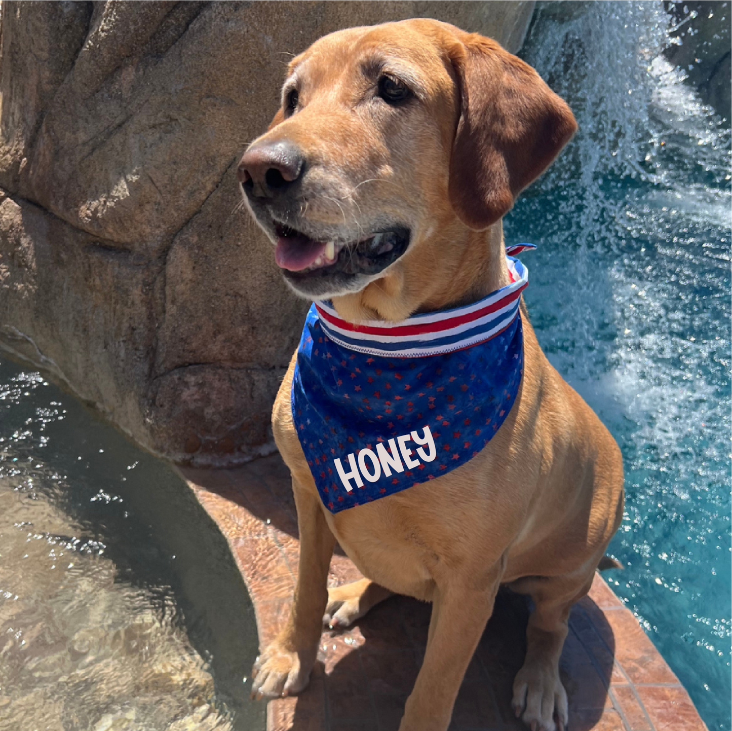 Stars & Stripes Dog Bandana - Reversible