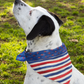 Stars & Stripes Dog Bandana - Reversible