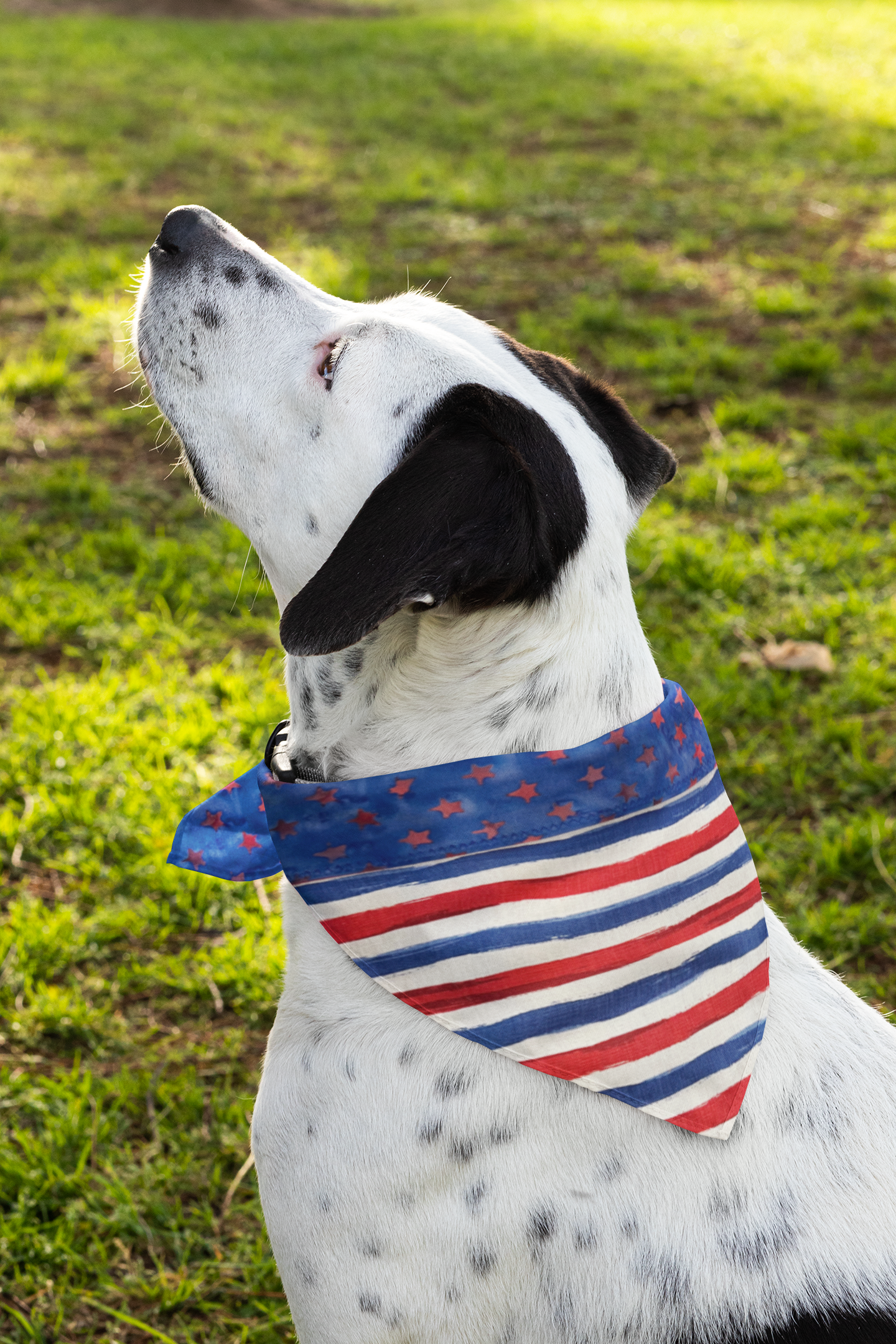 Stars & Stripes Dog Bandana - Reversible