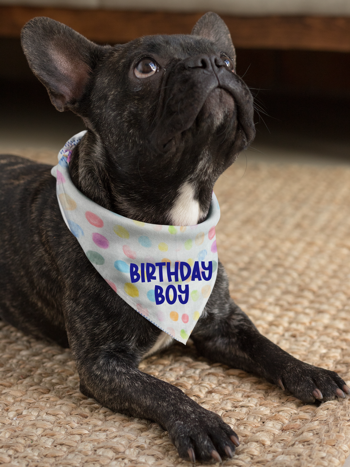 Birthday Pup Bandana